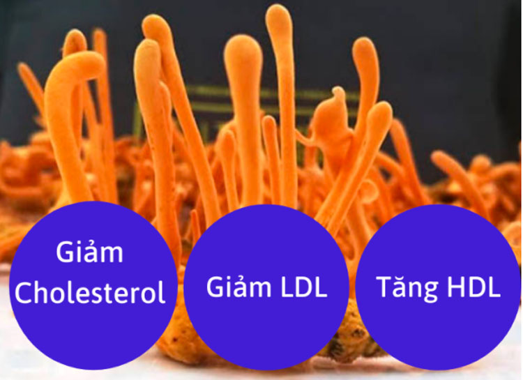 Bí mật về loài nấm được Khương Tử Nha sử dụng để “cải lão hoàn đồng”Chuyện kể rằng, sau khi giúp nh 9