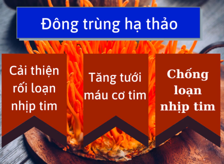 Bí mật về loài nấm được Khương Tử Nha sử dụng để “cải lão hoàn đồng”Chuyện kể rằng, sau khi giúp nh 8