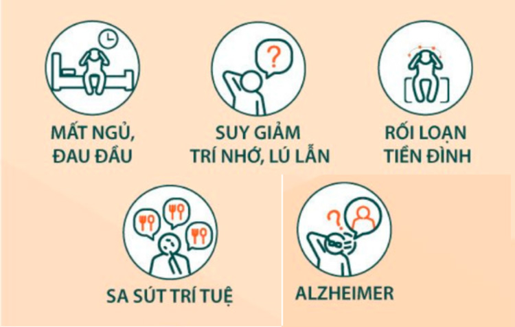 Herisin trong Nấm hầu thủ cải thiện các triệu chứng về suy giảm chức năng thần kinh